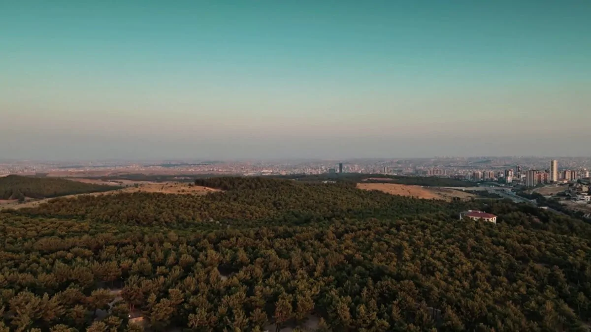 Фото галереи #5