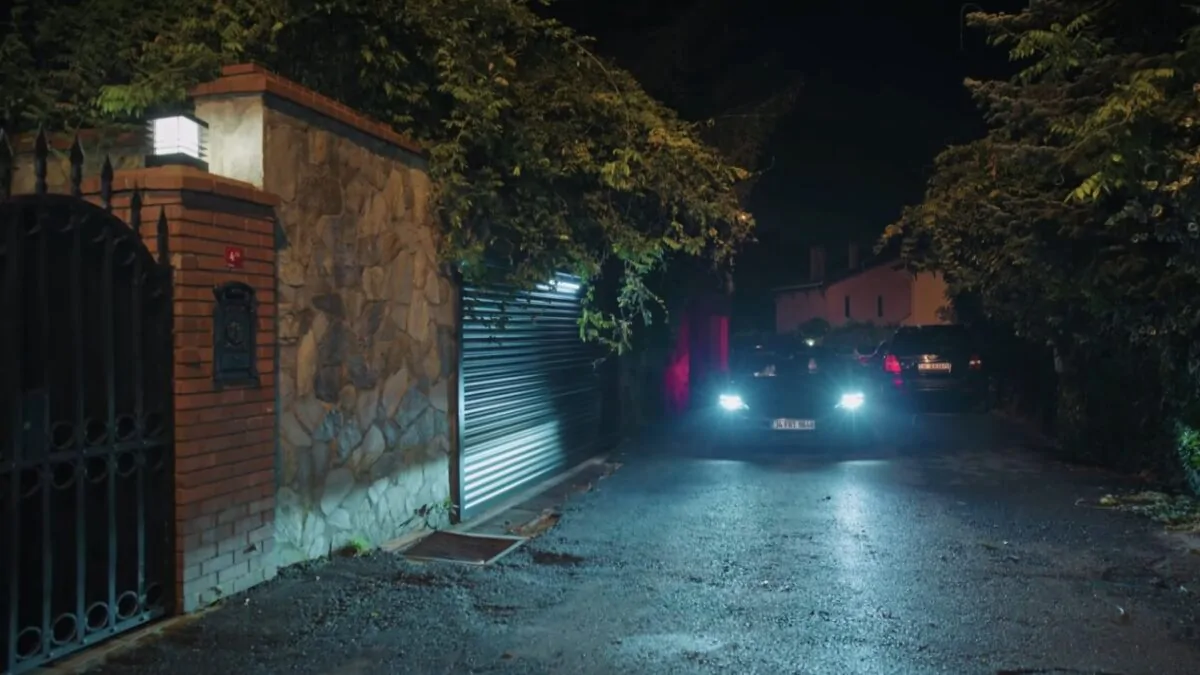 Фото галереи #3